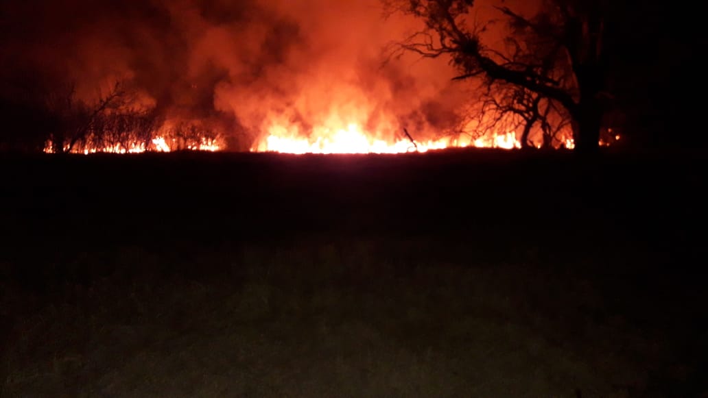 Tres dotaciones de Bomberos combatieron un incendio de campo