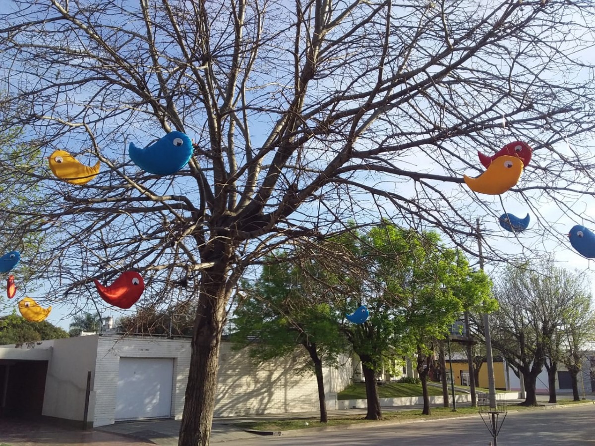 Ni los pajaritos se salvan de los vándalos