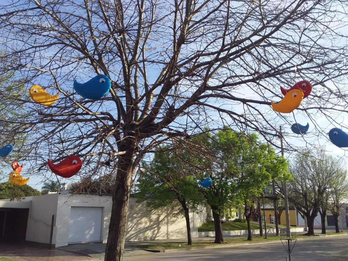 Ni los pajaritos se salvan de los vándalos