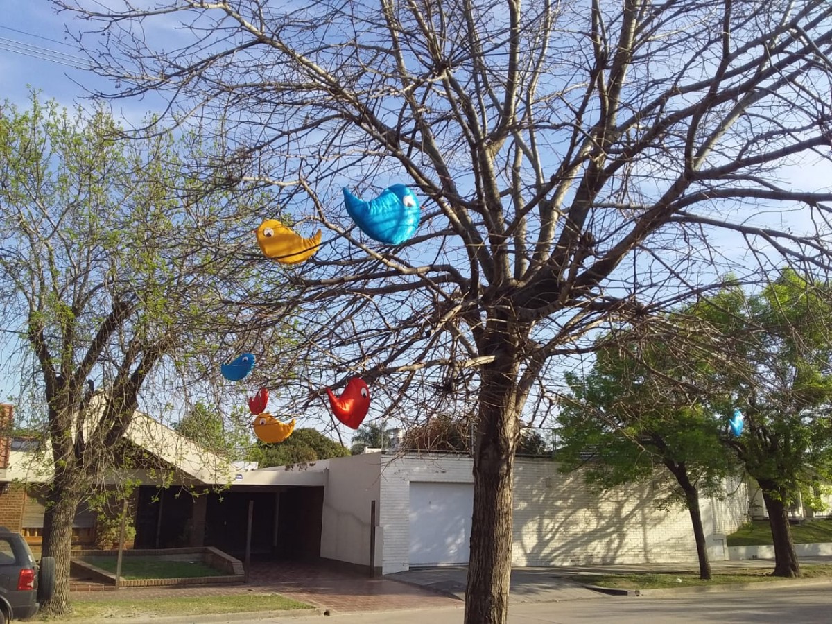 Ni los pajaritos se salvan de los vándalos