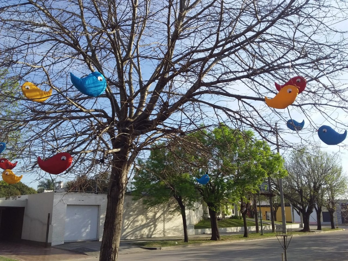 Ni los pajaritos se salvan de los vándalos