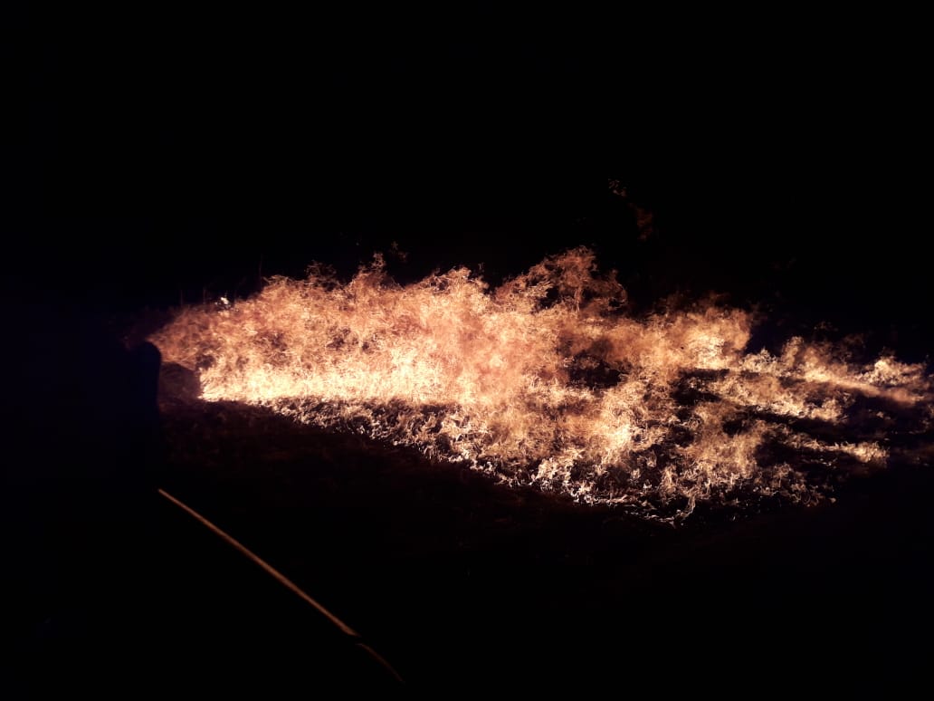 Bomberos controlaron el incendio en un campo en Villa San Esteban