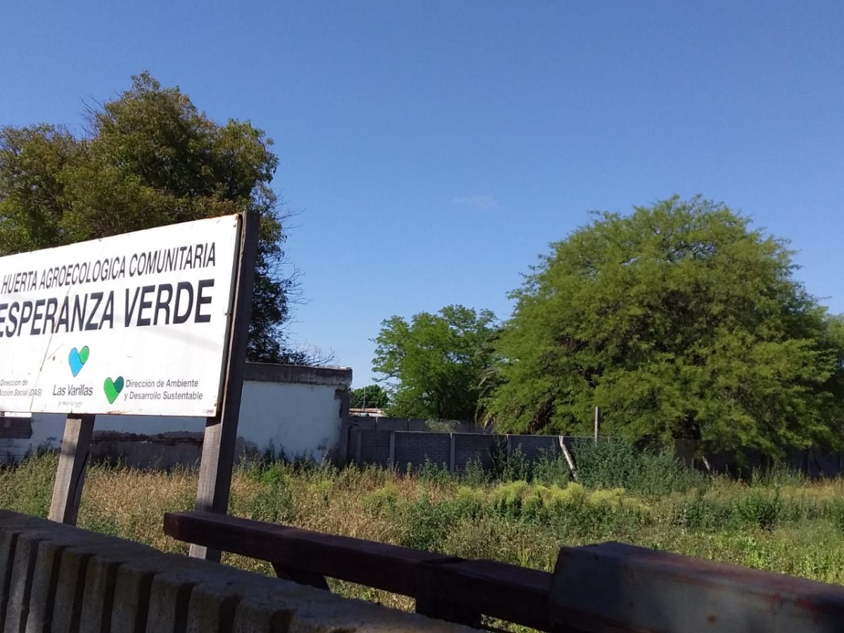 En el Vivero Municipal sólo se cosechan yuyos