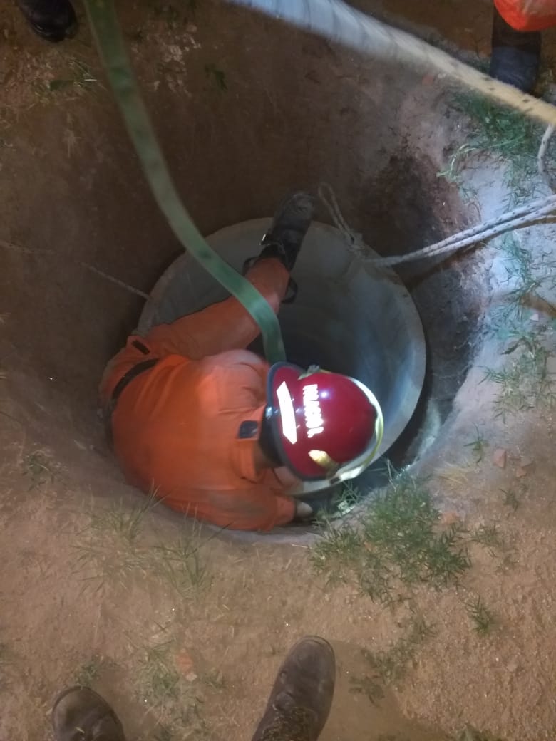 Rescate de un perro y otras actividades de Bomberos de Las Varillas