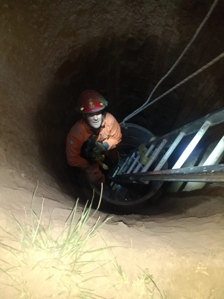 Rescate de un perro y otras actividades de Bomberos de Las Varillas