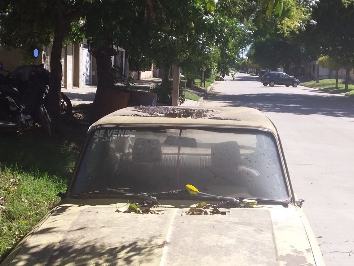 Intensifican controles de vehículos en desuso en la vía pública