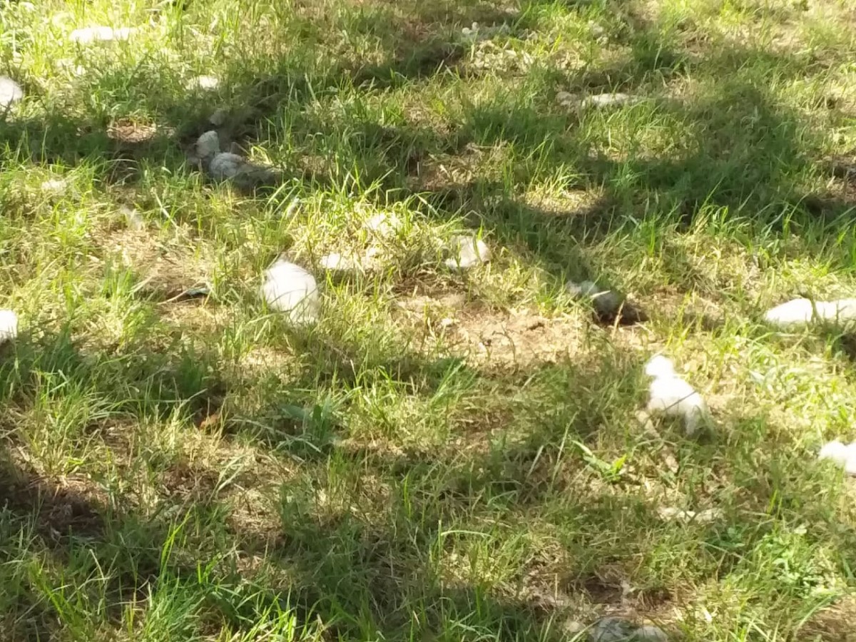 Reclamos por el abandono de un espacio verde frecuentado por vecinos