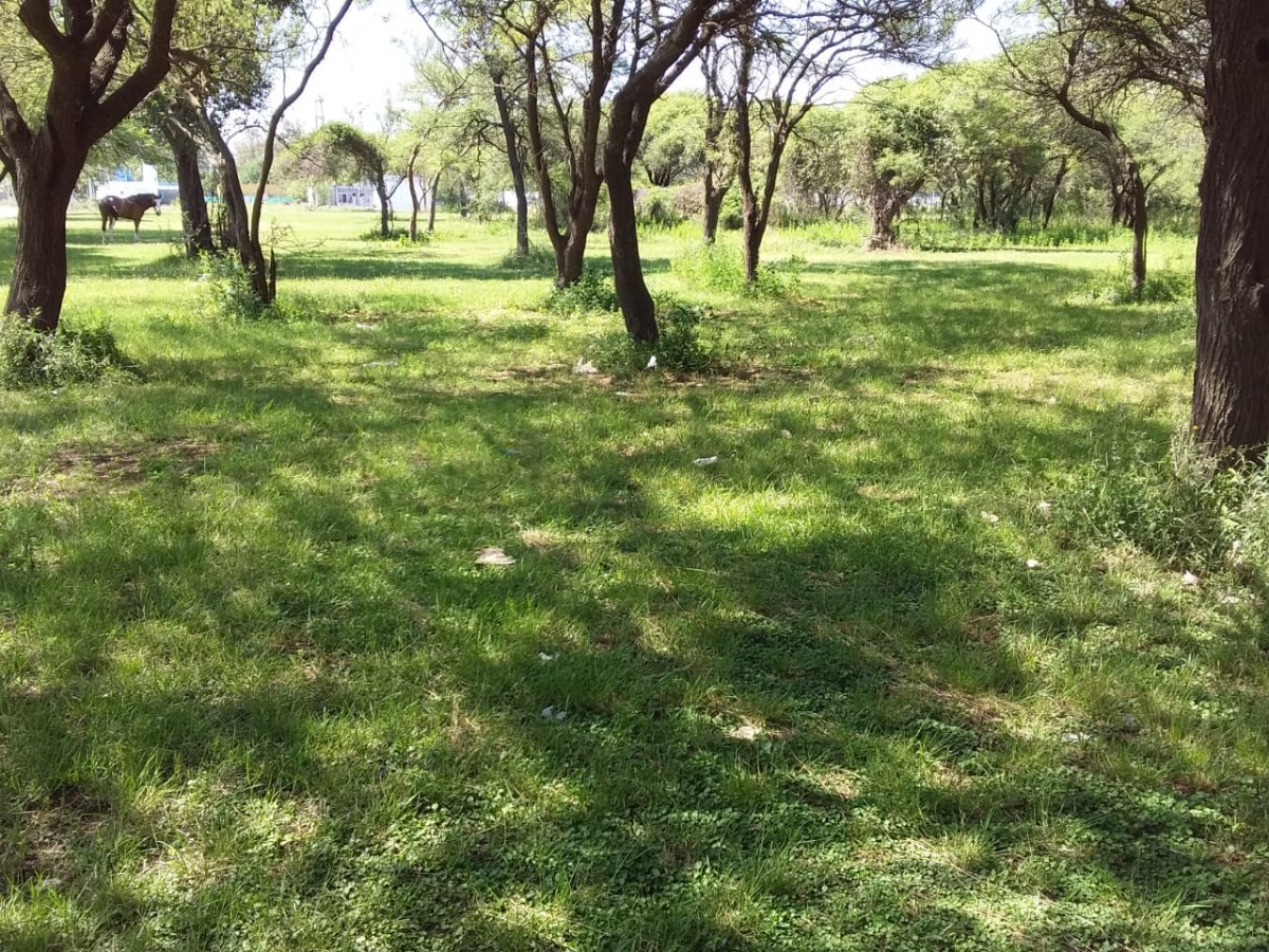 Reclamos por el abandono de un espacio verde frecuentado por vecinos