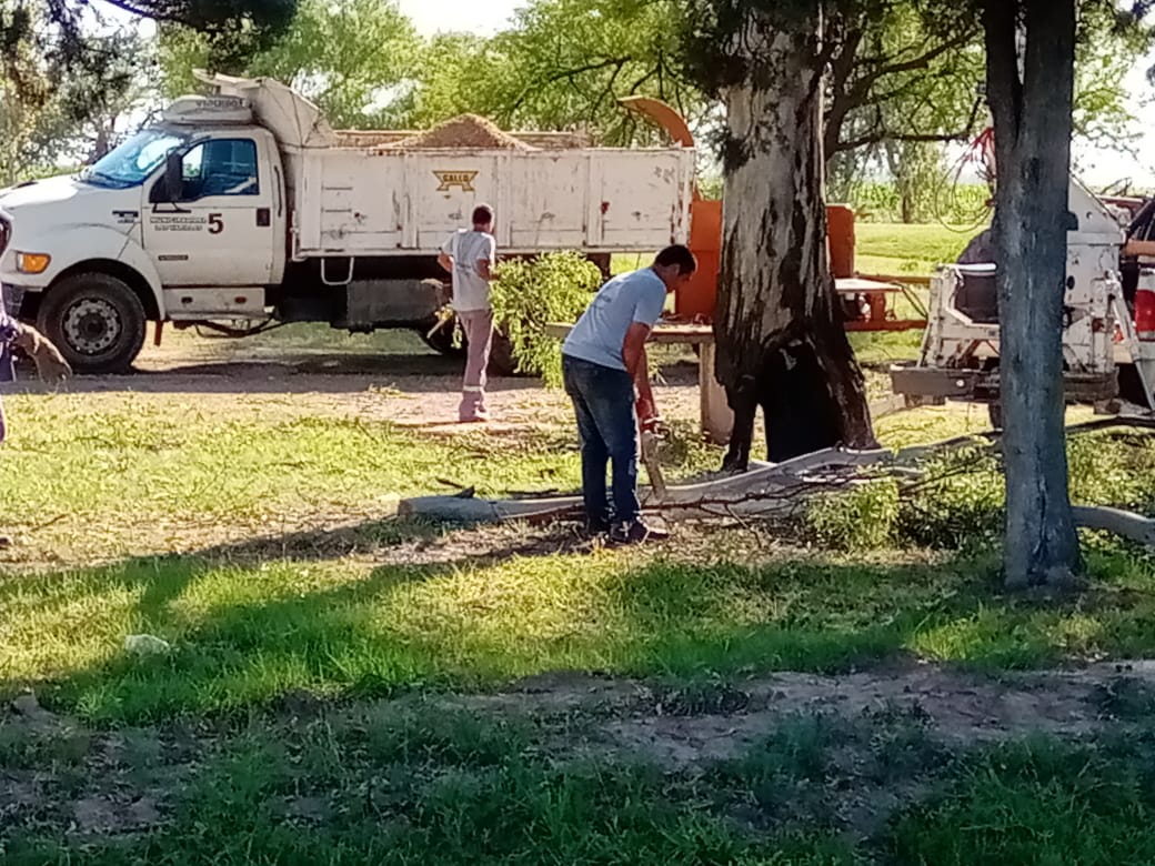 Trabajos de la Dirección de Ambiente en la ciudad