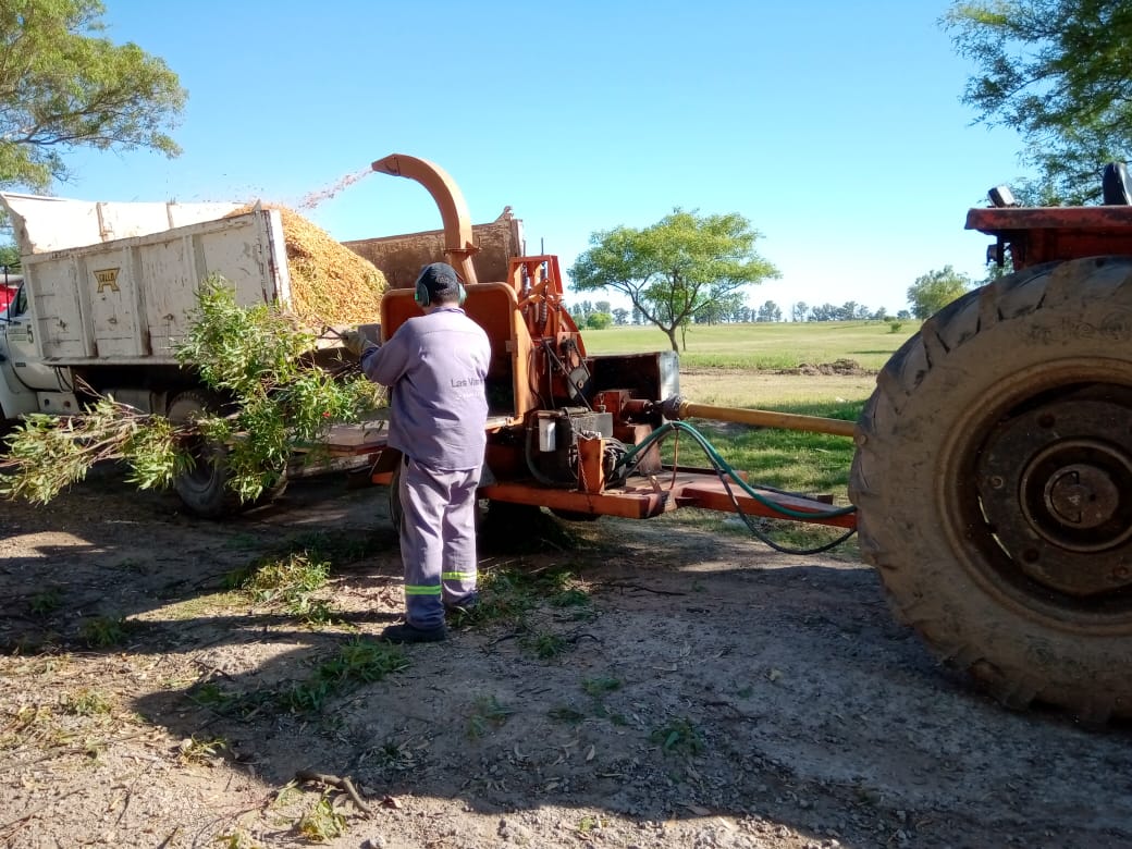 Trabajos de la Dirección de Ambiente en la ciudad