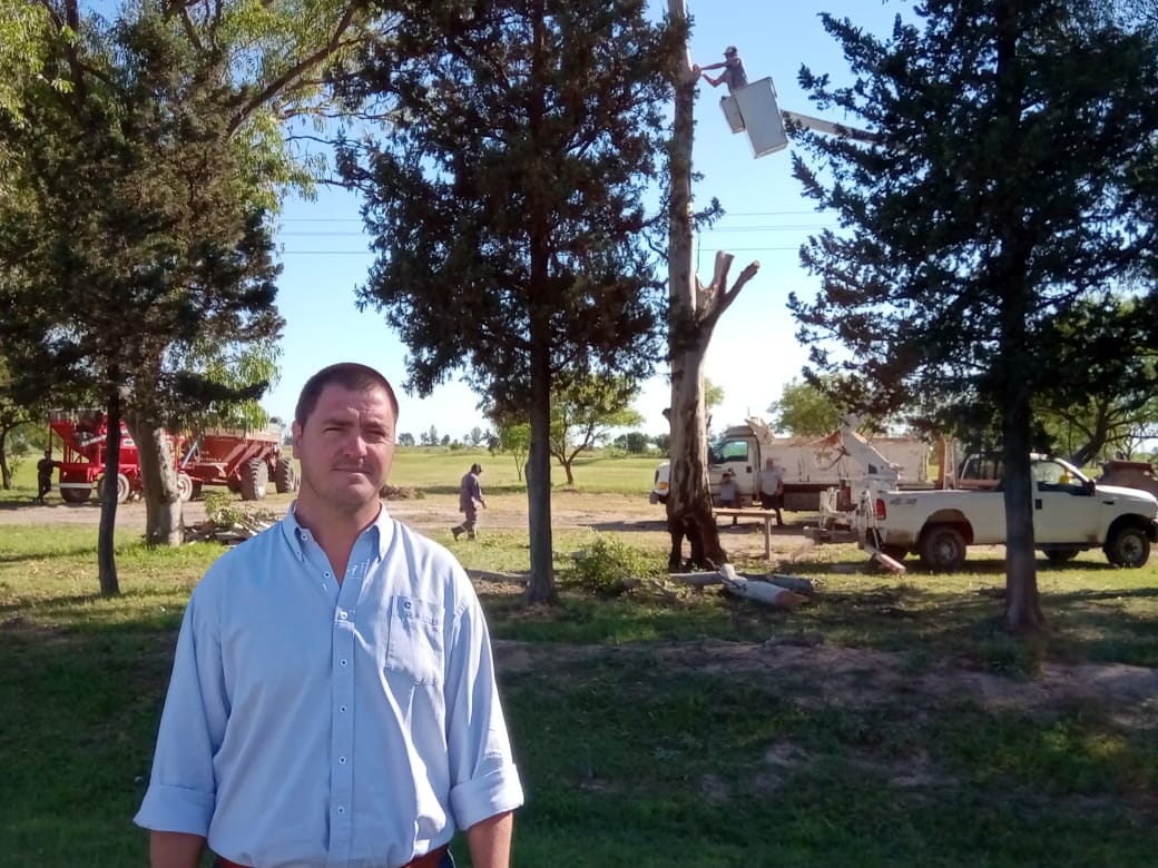 Trabajos de la Dirección de Ambiente en la ciudad