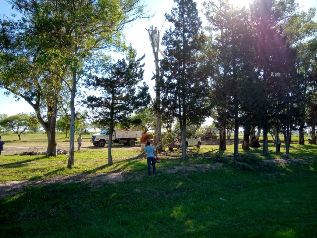 Trabajos de la Dirección de Ambiente en la ciudad