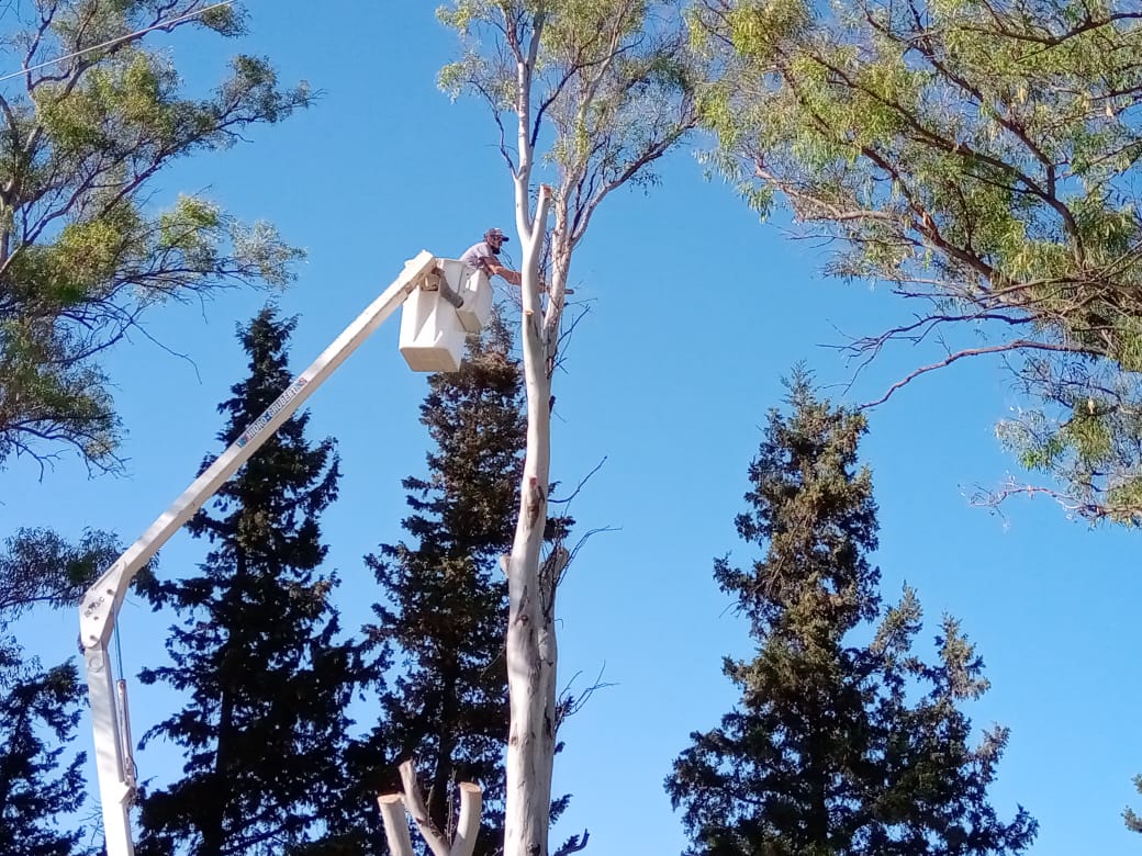 Trabajos de la Dirección de Ambiente en la ciudad