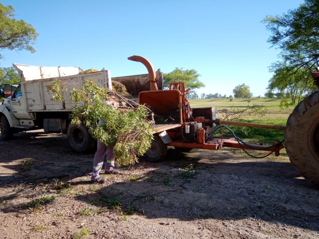 Trabajos de la Dirección de Ambiente en la ciudad