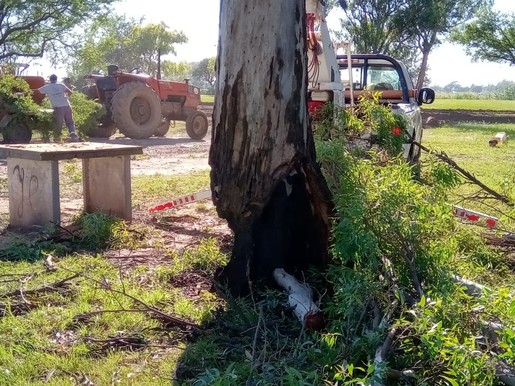 Trabajos de la Dirección de Ambiente en la ciudad