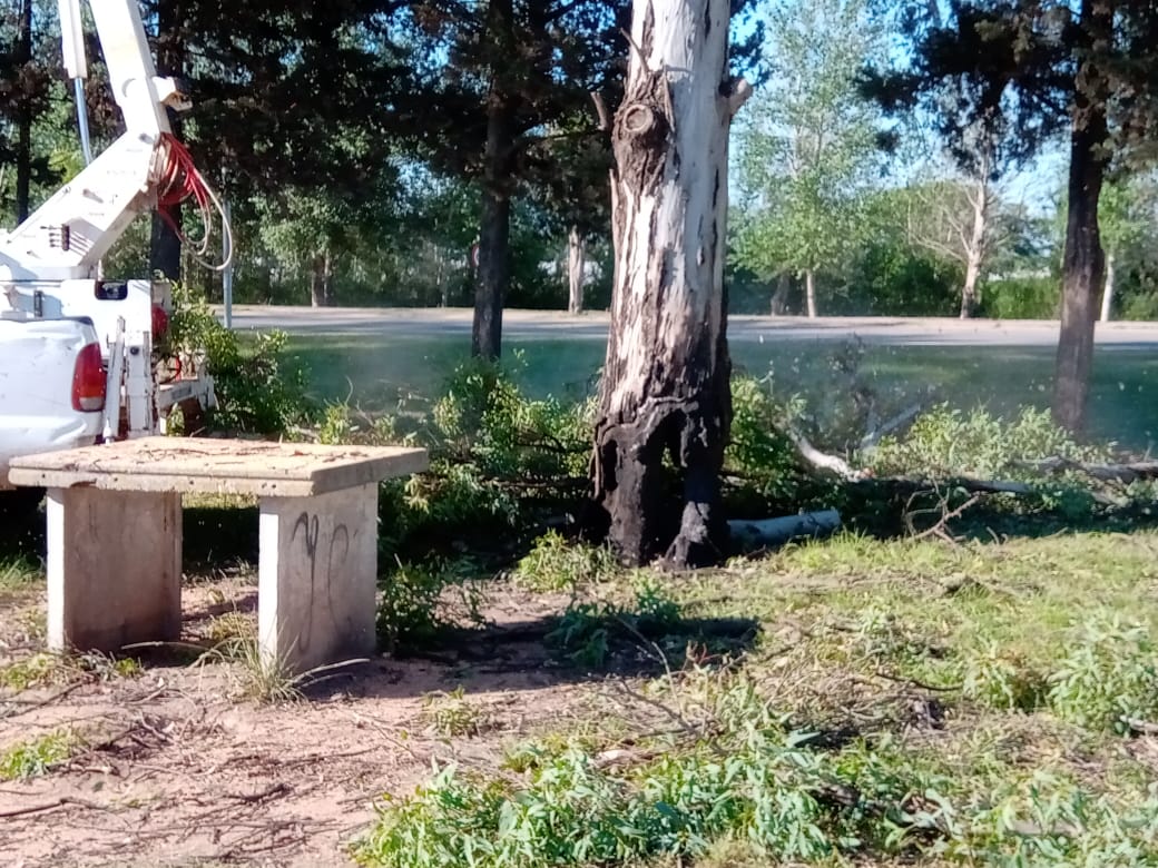 Trabajos de la Dirección de Ambiente en la ciudad