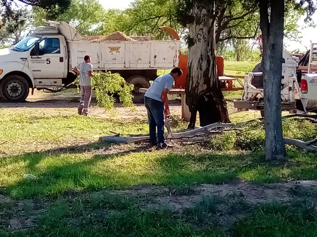 Trabajos de la Dirección de Ambiente en la ciudad