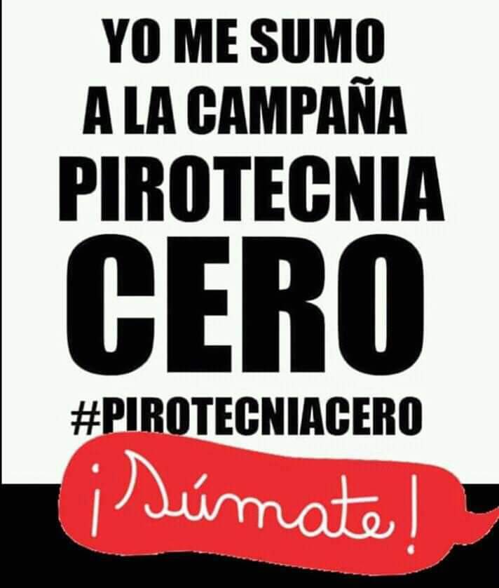 Hay numerosas mascotas  extraviadas por el uso de pirotecnia