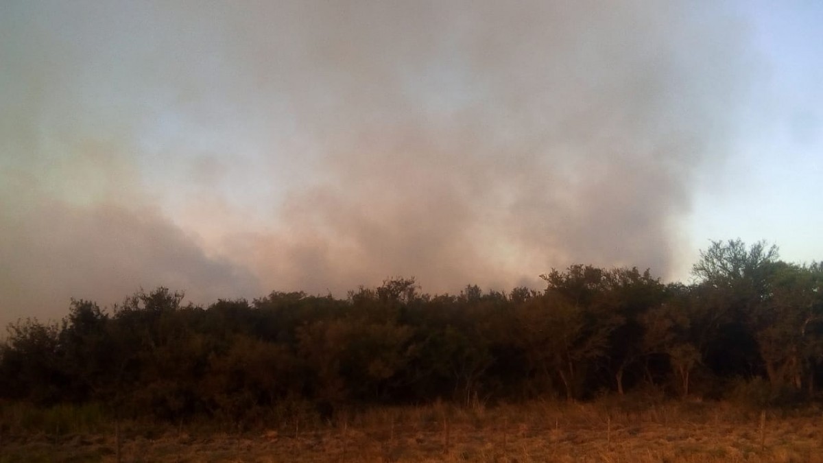Bomberos de Las Varillas convocados por un incendio de gran magnitud en El Tio