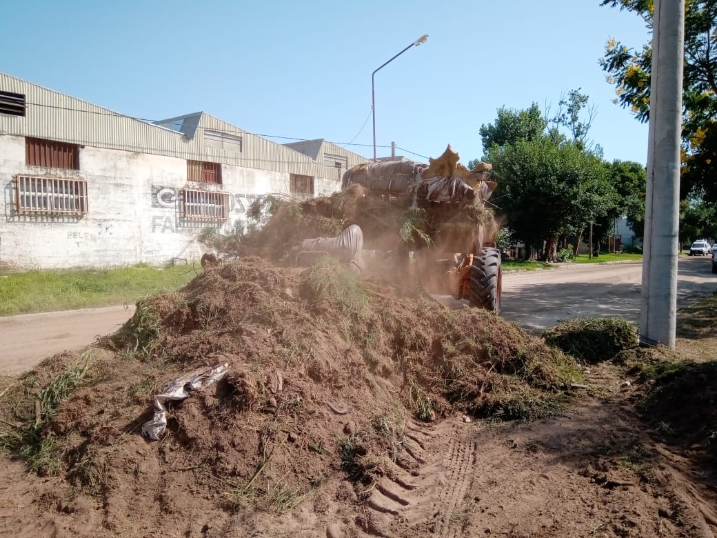 Comenzaron los trabajos  de limpieza de los caniles