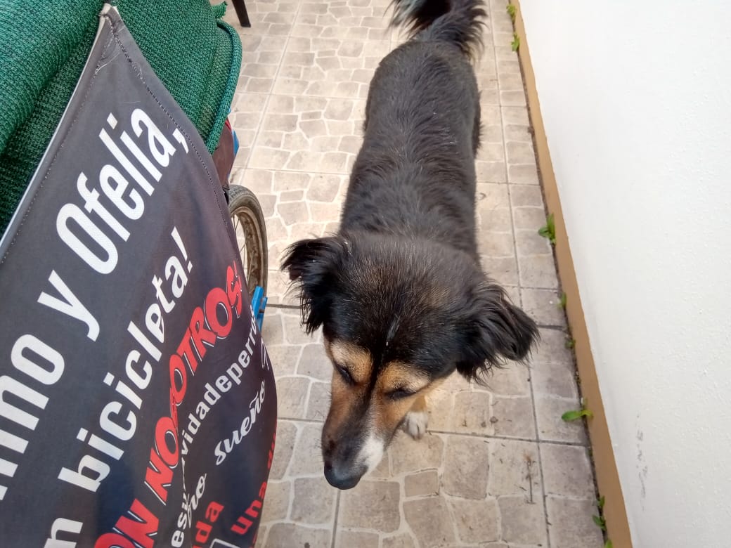 Ciclo-turista pasó por Las Varillas: ” Hasta que me den las gambas”