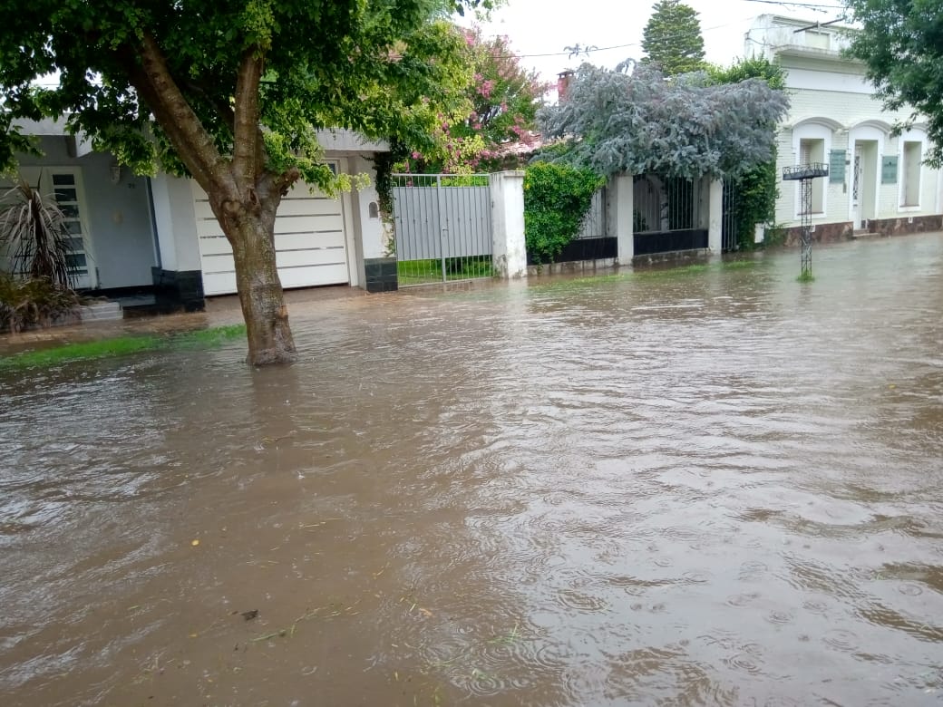 ¿Has visto caer la lluvia?  – Galería de fotos