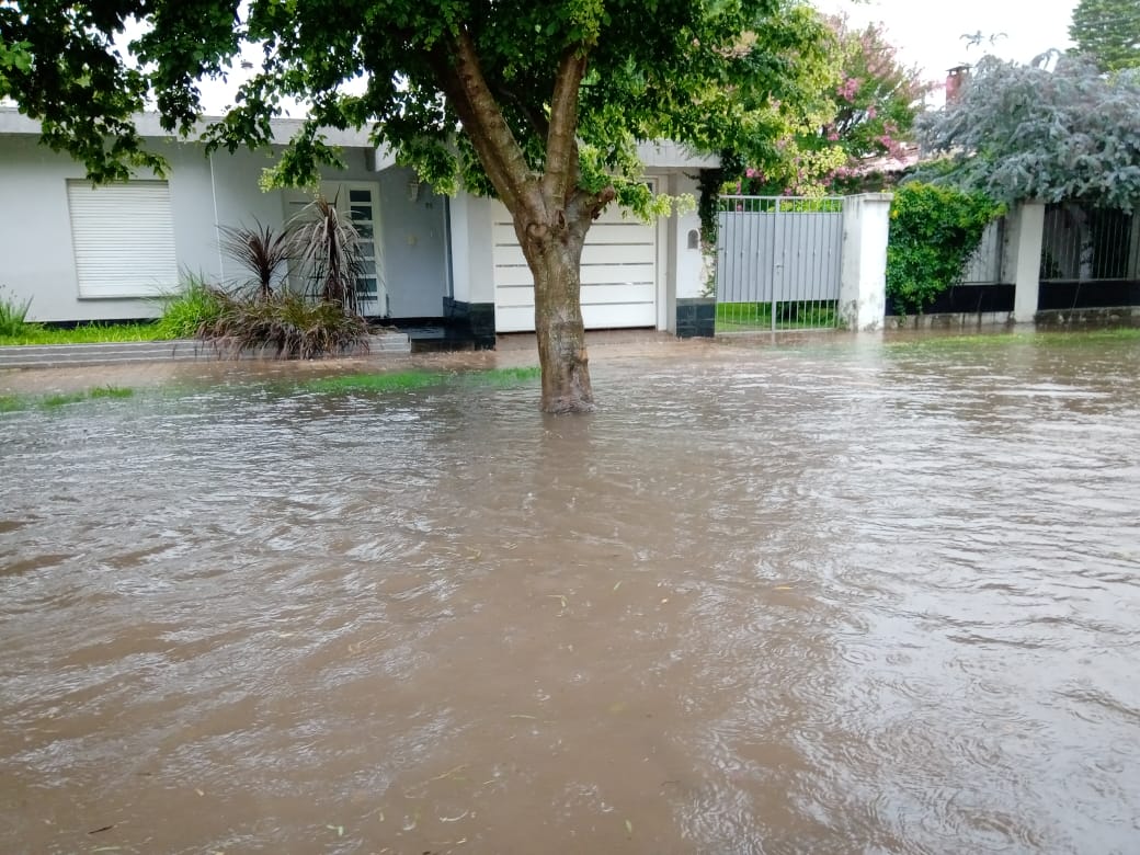 ¿Has visto caer la lluvia?  – Galería de fotos