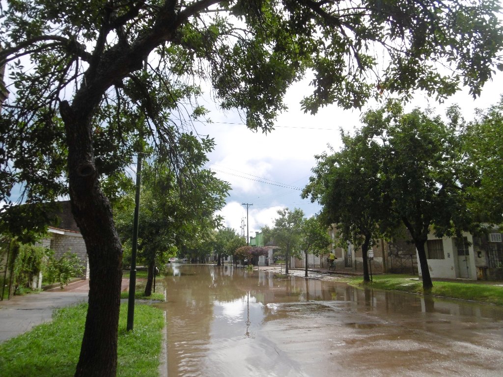 ¿Has visto caer la lluvia?  – Galería de fotos