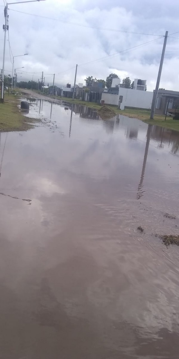 ¿Has visto caer la lluvia?  – Galería de fotos