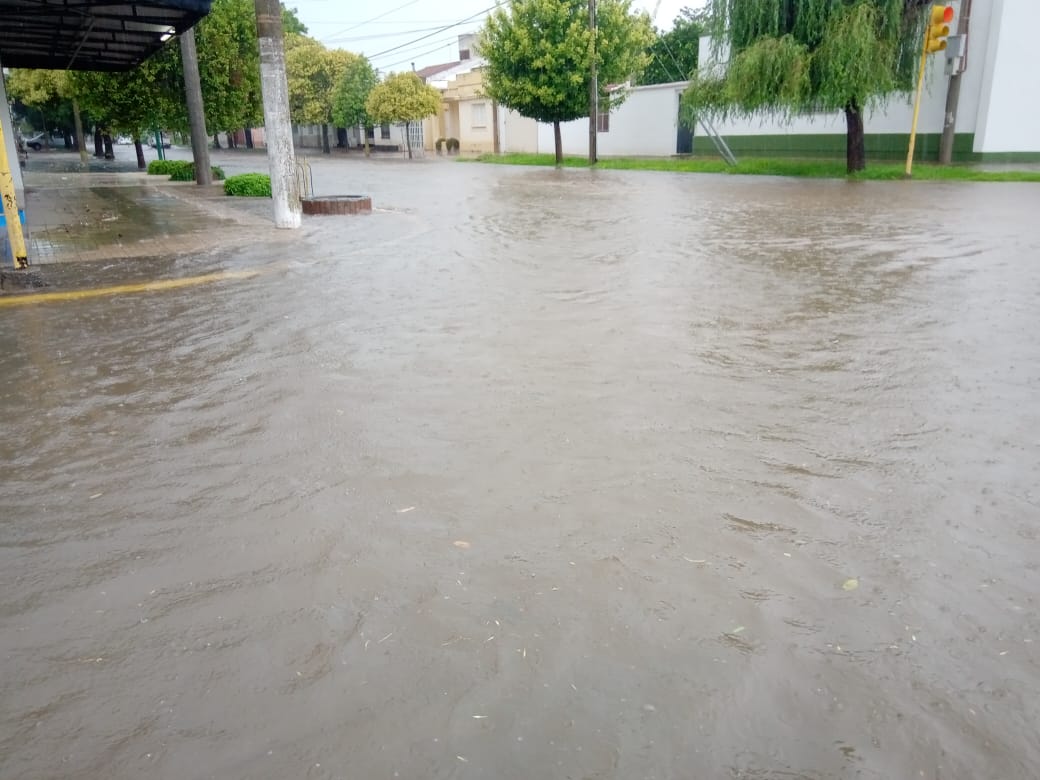 ¿Has visto caer la lluvia?  – Galería de fotos