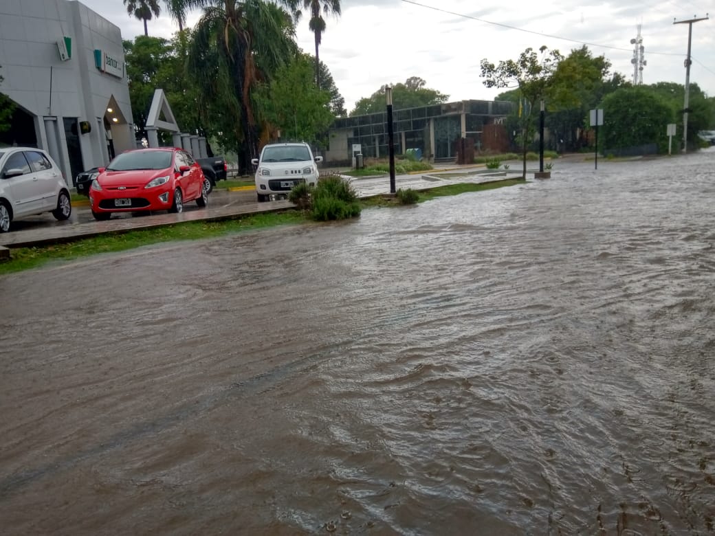 ¿Has visto caer la lluvia?  – Galería de fotos