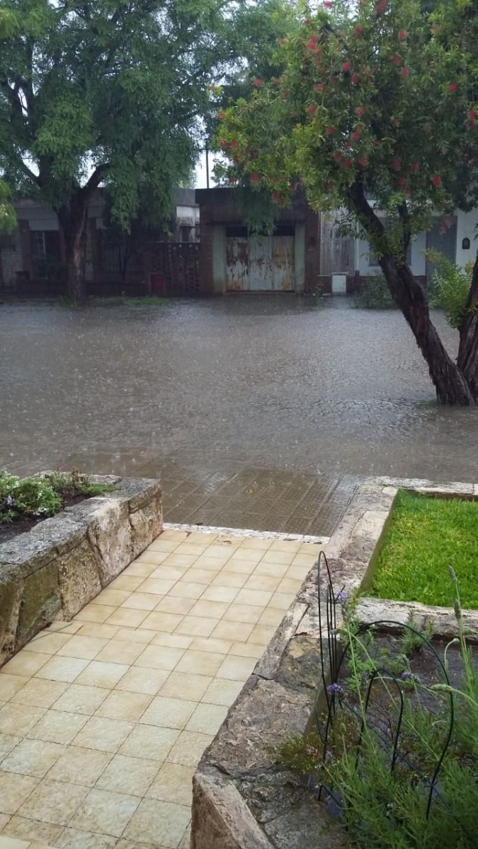 ¿Has visto caer la lluvia?  – Galería de fotos
