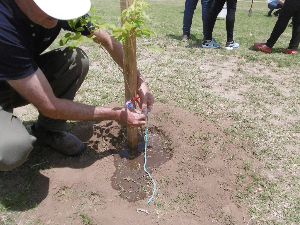 Presentaron “Sembrando Vida” con la plantación de árboles