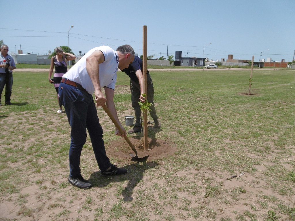 Presentaron “Sembrando Vida” con la plantación de árboles