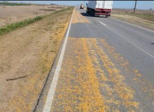 Derrame de cereal en Ruta Provincial Nº 3