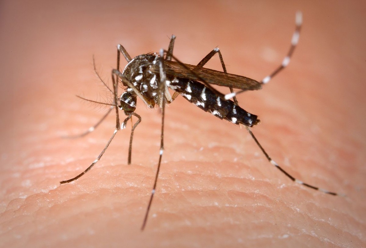 Detectaron un caso sospechoso de Dengue en Las Varillas