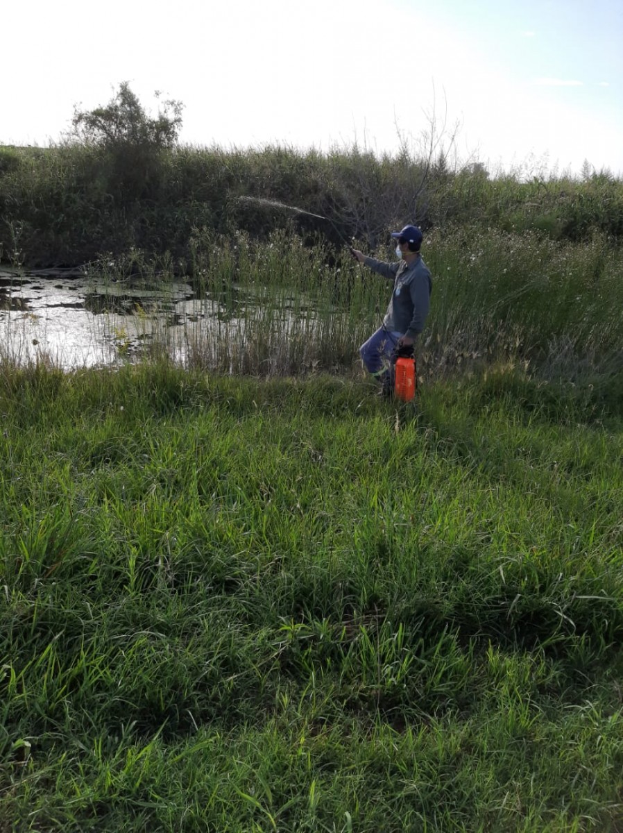 El Municipio comenzó a pulverizar para controlar la proliferación de mosquitos