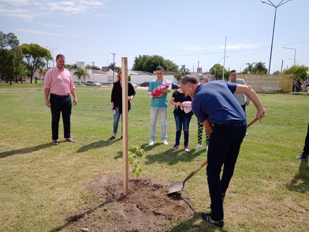 Otros 17 árboles plantaron en el marco del Programa Sembrando Vidas