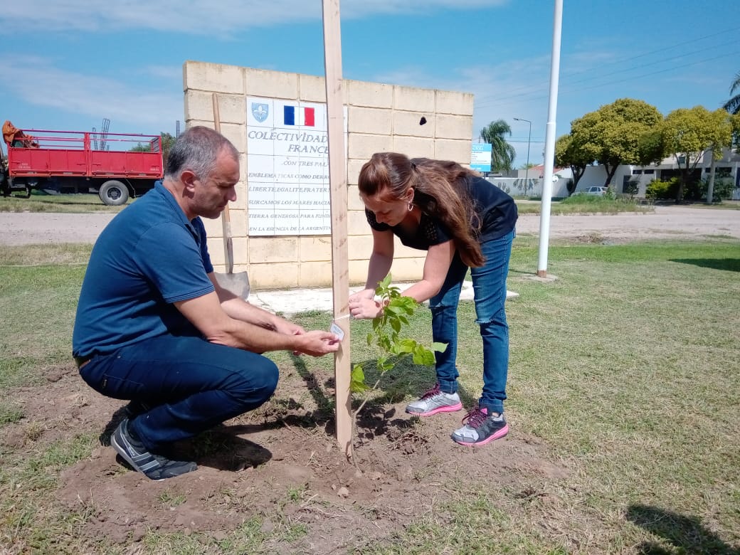 Otros 17 árboles plantaron en el marco del Programa Sembrando Vidas