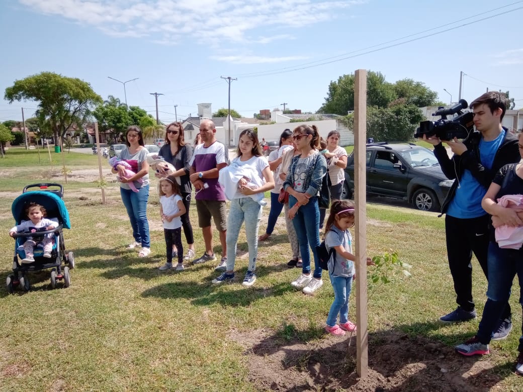 Otros 17 árboles plantaron en el marco del Programa Sembrando Vidas