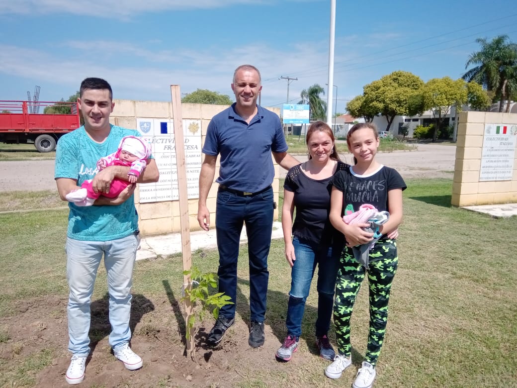 Otros 17 árboles plantaron en el marco del Programa Sembrando Vidas