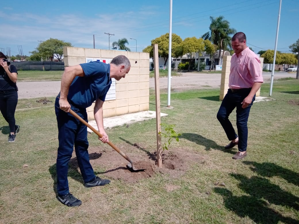 Otros 17 árboles plantaron en el marco del Programa Sembrando Vidas
