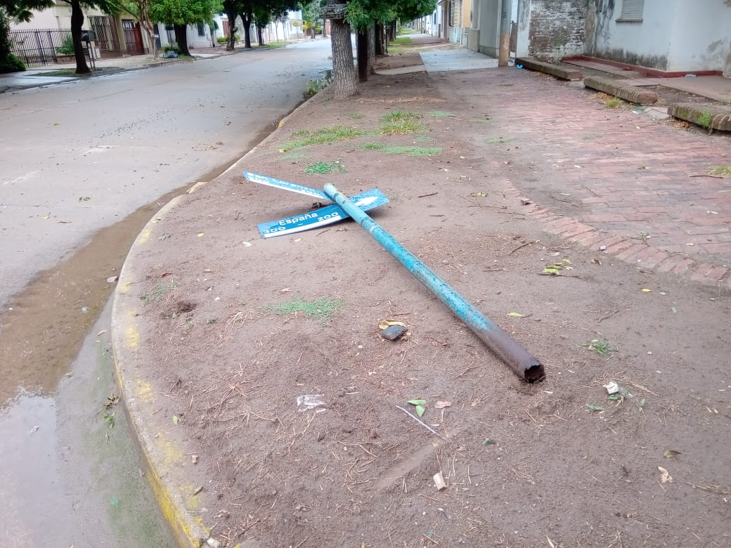 Viento, poca lluvia y caída de ramas y un árbol
