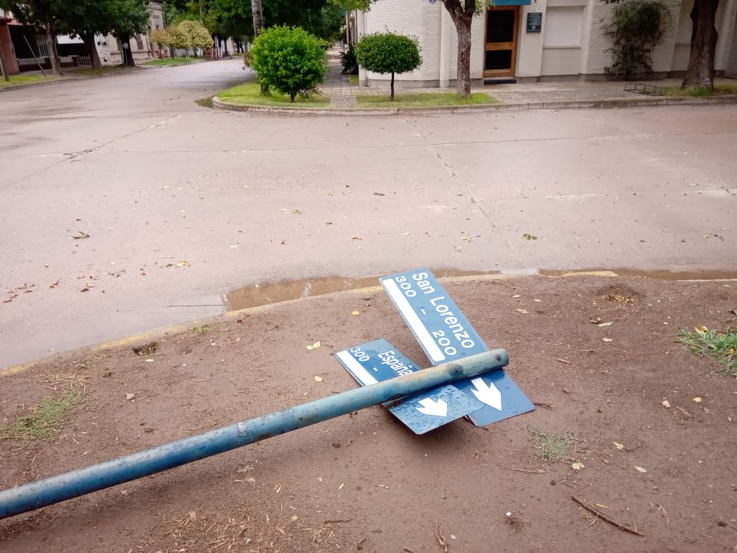 Viento, poca lluvia y caída de ramas y un árbol
