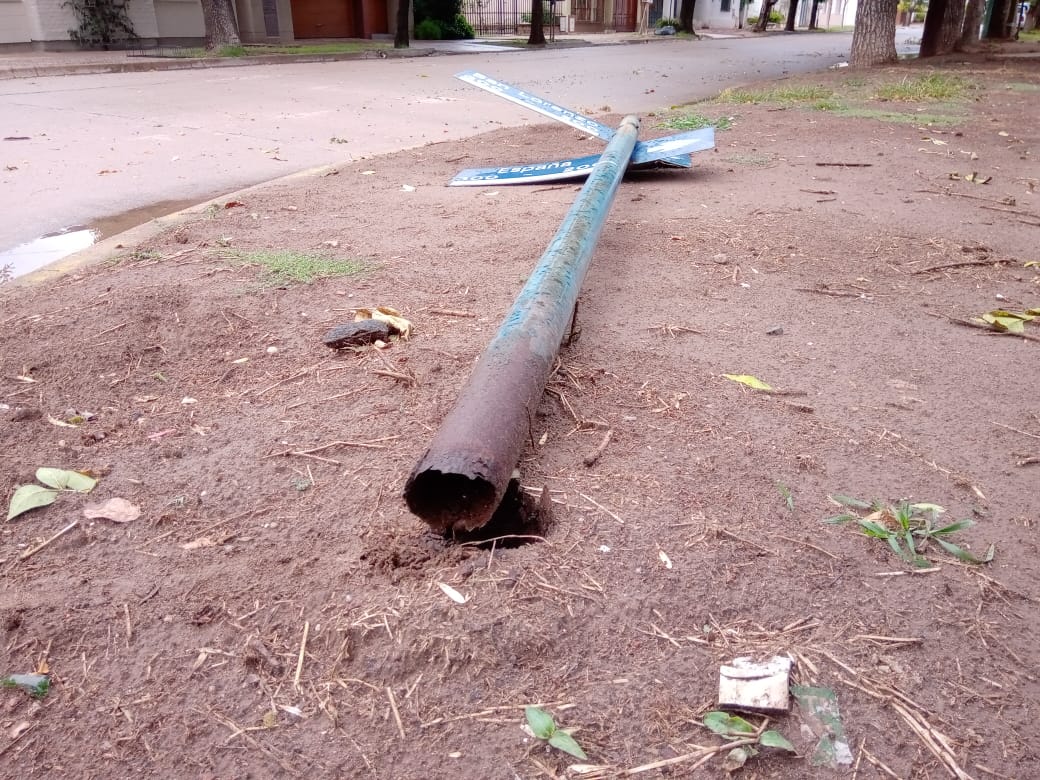 Viento, poca lluvia y caída de ramas y un árbol