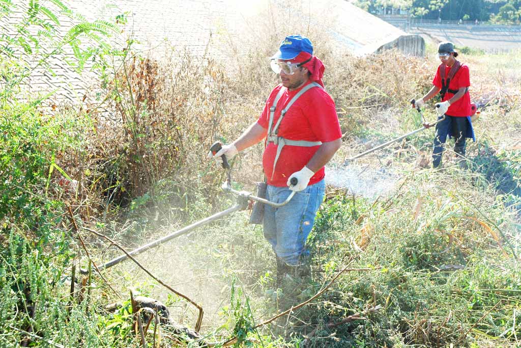La Municipalidad creará un Registro Único de Desmalezadores