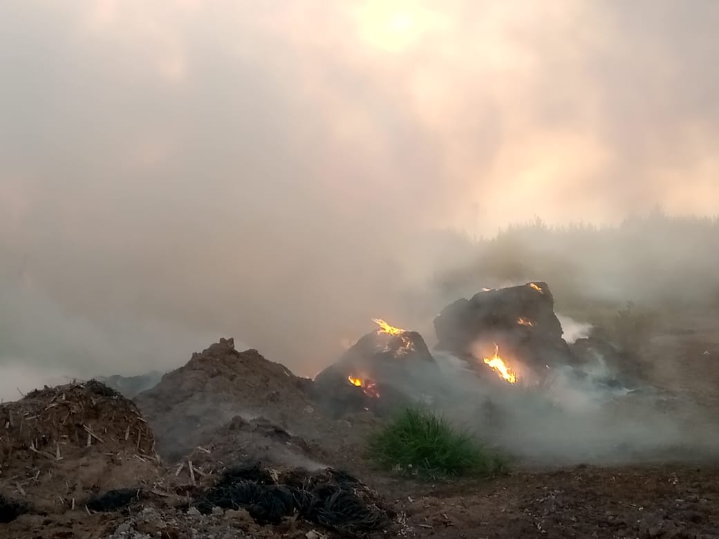 Incendio de megafardos en el campo de Ribone