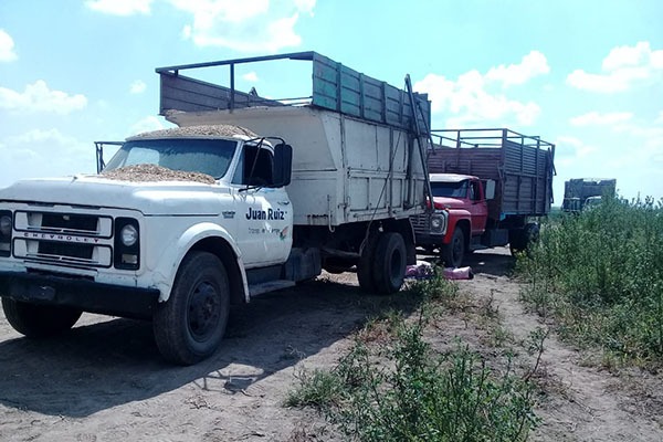 Tragedia en Silvio Péllico: joven murió aplastado entre dos camiones