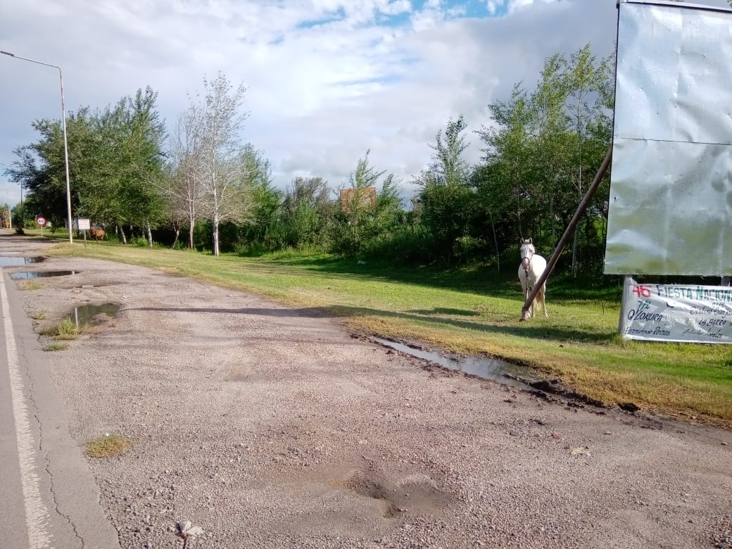 Los ingresos a Las Varillas, postales de desolación