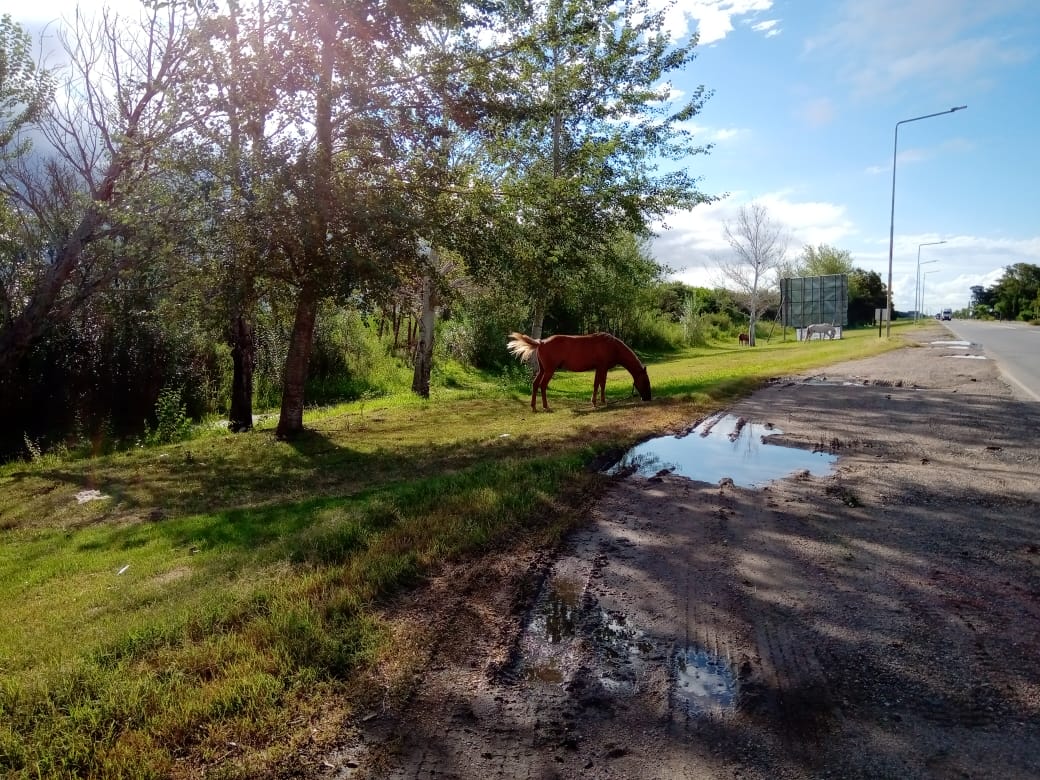 Los ingresos a Las Varillas, postales de desolación